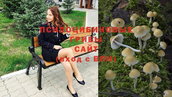 кокс Алексеевка