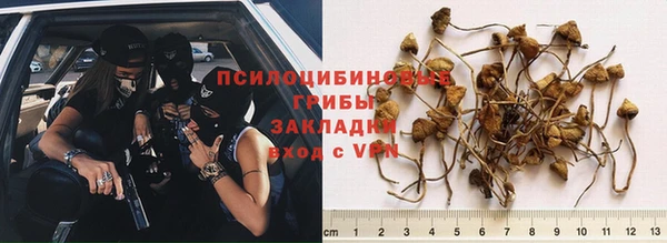 кокс Алексеевка